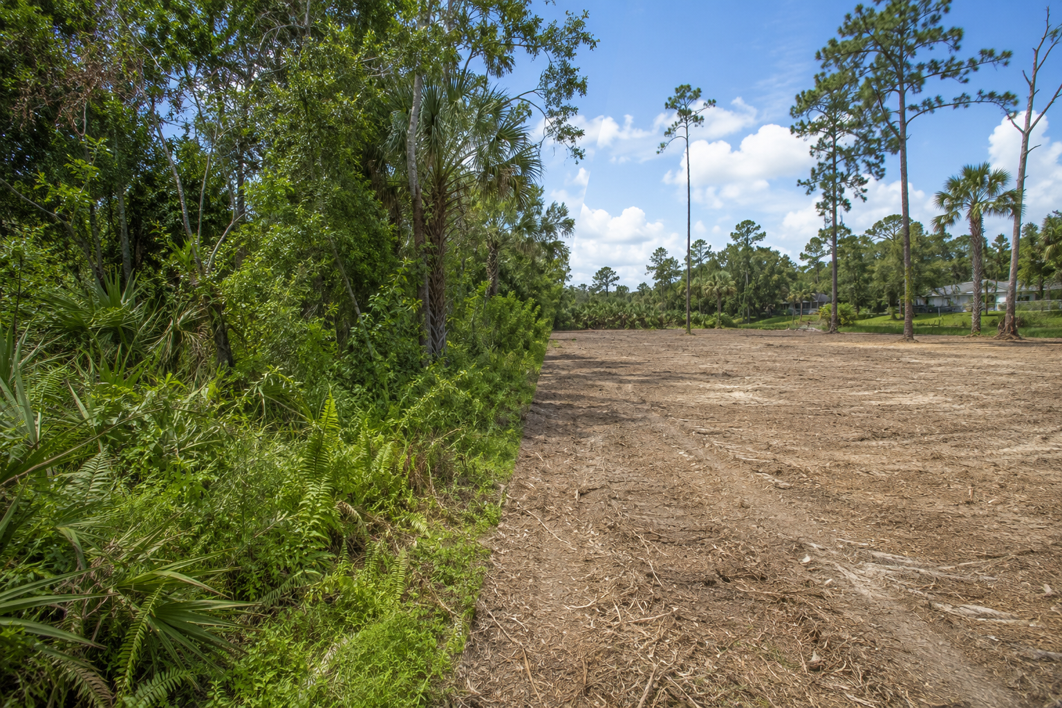 Property showing the contrast between dense overgrowth and cleared usable land